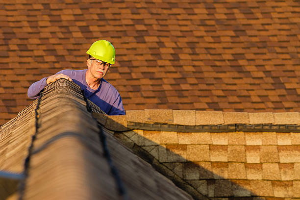 Best Gutter Installation and Roofing  in Mount Gilead, OH